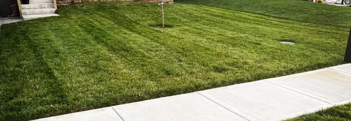 Lawncare